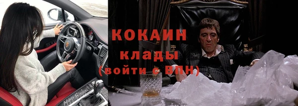 хмурый Алексин