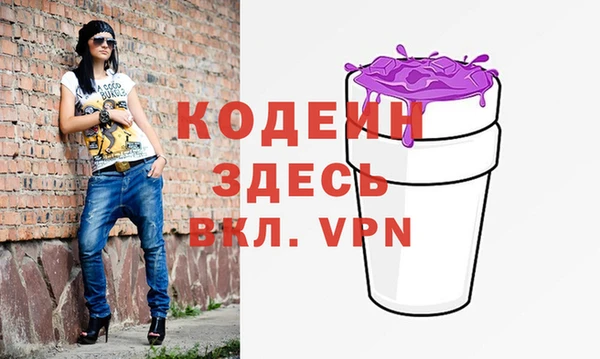 хмурый Алексин